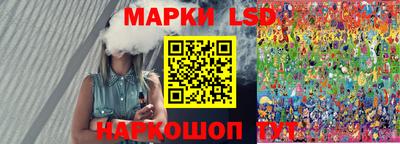 шишки Будённовск