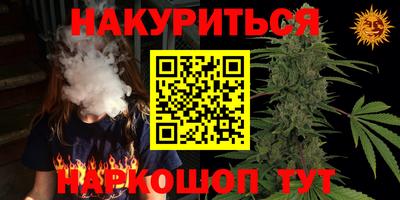 шишки Будённовск